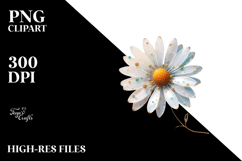 Elegant Daisy, Transparent PNG Product Image 2