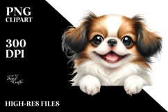 Funny Baby Japanese Chin Smiling on White Paper | Product Image 2