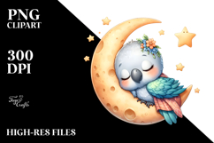 Whimsical Baby Parrot PNG Product Image 2