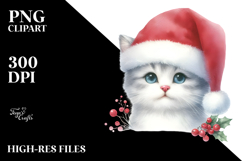 Christmas Cat PNG Product Image 2