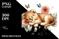 Sleeping Baby Lion, Transparent PNG Product Image 2