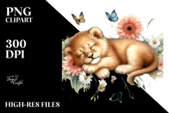 Sleeping Baby Lion, Transparent PNG Product Image 2