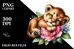 Sleeping Baby Lion, Transparent PNG Product Image 2