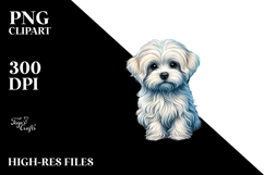 Maltese Sitting Sand Surf Ball | Clipart Product Image 2