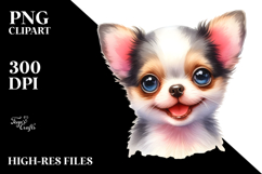 Cute Baby Chihuahua Product Image 2