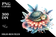 Sleeping Baby Turtle, Transparent PNG Product Image 2