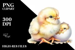 Cute Baby Chicken High Quality PNG Product Image 1
