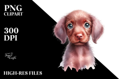 Cute Watercolor Vizsla PNG Product Image 2