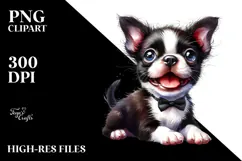 Boston Terrier Portrait, Transparent PNG Product Image 2