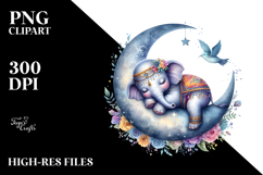 Baby Elephant Dressed for Summer PNG Product Image 2