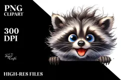Crazy Looking Raccoon | Funny | Big Popping Eyes Product Image 2