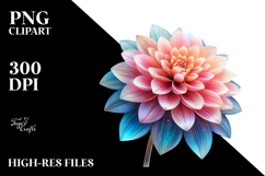Dahlia, Transparent PNG Product Image 2