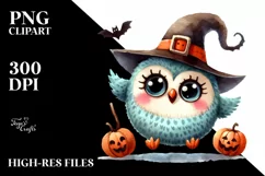 Expressive Baby Owl Sitting PNG Product Image 3