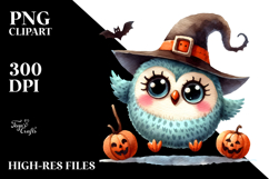 Expressive Baby Owl Sitting PNG Product Image 2