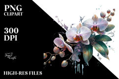 Orchid Watercolor PNG Product Image 2
