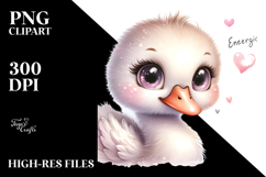 Cute Baby Swan PNG Product Image 2