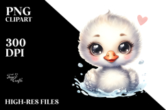 Cute Baby Swan PNG Product Image 2