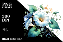 Morning Glory Watercolor Splash PNG Product Image 2