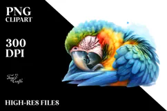 Vibrant Baby Macaw Sleeping Cloud | Sublimation Clipart Product Image 2