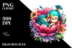 Colorful Baby Peacock Sleeping | Sublimation Clipart Product Image 1