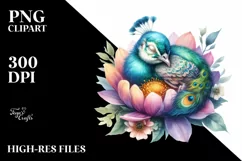 Colorful Baby Peacock Sleeping | Sublimation Clipart Product Image 1