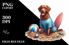 Chesapeake Bay Retriever Sitting in Sand Sublimation Clipart Product Image 1
