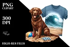 Chesapeake Bay Retriever Sitting in Sand Sublimation Clipart Product Image 1
