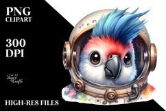 Cute Energetic Baby Macaw Product Image 2