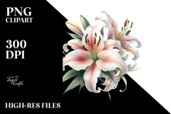 Lily, Watercolor PNG Product Image 2