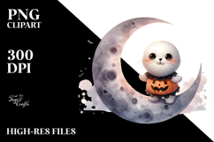 Cute Seal Digital Painting PNG Product Image 2