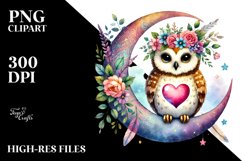 Colorful Owl Holding Heart PNG Product Image 2