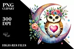 Colorful Owl Holding Heart PNG Product Image 2