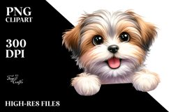 Cute Funny Havanese Watercolor Clipart Product Image 1