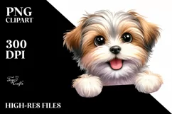 Cute Funny Havanese Watercolor Clipart Product Image 1