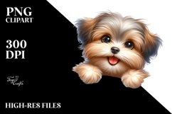 Cute Enthusiastic Watercolor Pomeranian Product Image 3