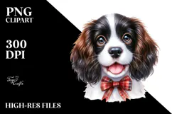 Cute English Springer Spaniel, Transparent PNG Product Image 2