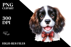 Cute English Springer Spaniel, Transparent PNG Product Image 2