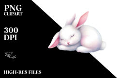Cute Pastel Bunny Sleeping Clipart Product Image 2
