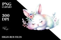 Cute Pastel Bunny Sleeping Clipart Product Image 3