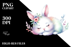 Cute Pastel Bunny Sleeping Clipart Product Image 2