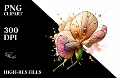 Watercolor Stained Sweet Pea | Clipart Product Image 1
