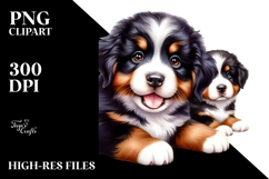 Watercolor Baby Bernese Mountain Dog PNG Product Image 2