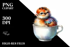 Vibrant Baby Pheasant in a Cup | Summer Clipart Product Image 3