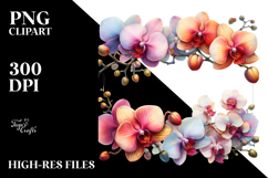 Colorful Horizontal Frame with Orchid, Transparent PNG Product Image 2