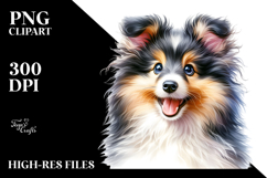 Happy Shetland Sheepdog PNG Product Image 2