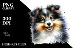 Happy Shetland Sheepdog PNG Product Image 2