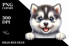 Funny Baby Siberian Husky PNG Product Image 2
