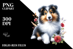 Baby Collie with Big Eyes PNG Product Image 2