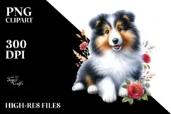 Baby Collie with Big Eyes PNG Product Image 2