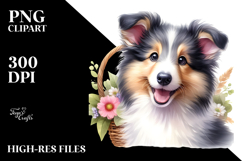 Adorable Collie, Transparent PNG Product Image 2